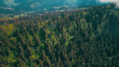 BEAUTIFUL SWITZERLAND | AERIAL DRONE 4K VIDEO