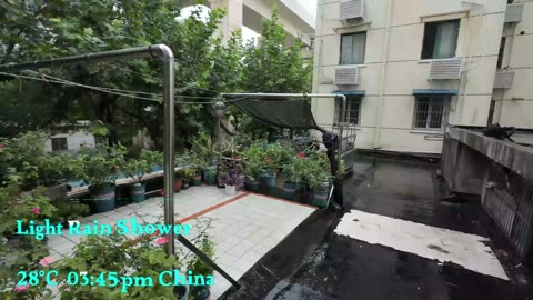 Light Rain Shower 28°C 03:45pm China 03-09-2023