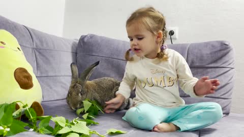 Baby Girl Repeats Strange Movements After the Rabbit Try Not To Laugh