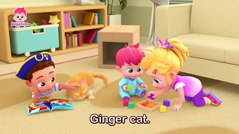 Funny Cat Kids video