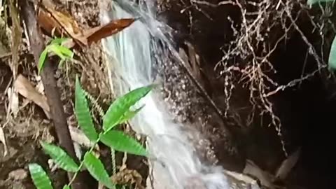 guintubdan falls