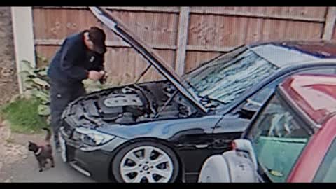 Kitty Closes Car Hood on Dad