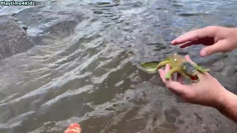 Sea Animal Toys This Summer at the shore