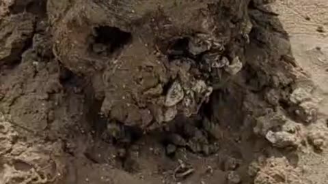 Old Human Remains Found at the Bottom of the Now Empty Kakhovskaya Reservoir