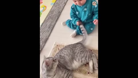 New Funny Animals Video 2023 | Funniest Cats and Dogs Videos | New Funny Video Of Cat And Dogs #231