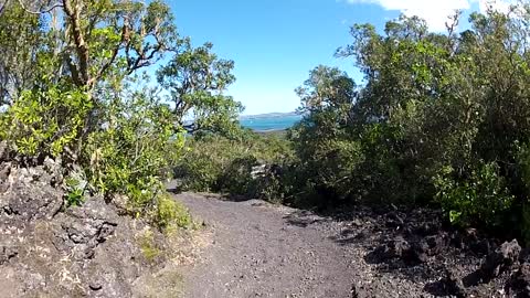 New Zealand Landscape