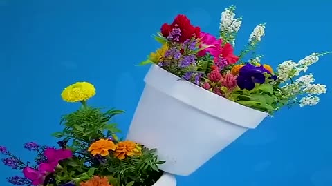 DIY potted plants lifehacks planttiktok