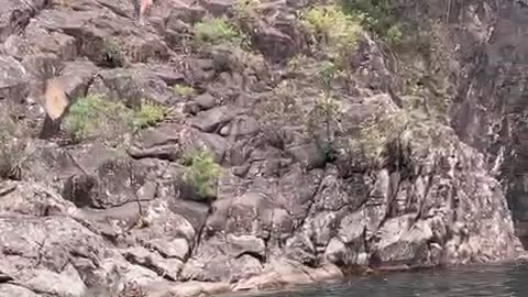 Woman Falls While Attempting Rope Swing