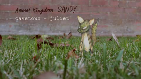 Juliet by Cavetown | Animal Kingdom