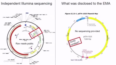 🚩 Kevin McKernan Presents Evidence of COVID Vaccine Contamination to the FDA VRBPAC Committee