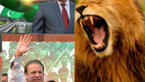 Nawaz Sharif Pmln