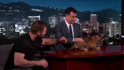 Wild Animals with Dave Salmoni