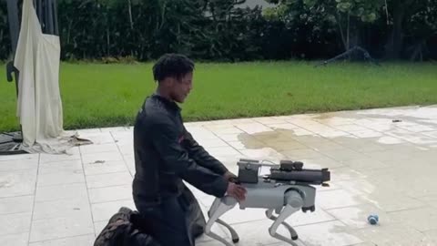 Speed with a robot dog