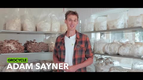 Meet These Urban Mushroom Growers | GroCycle