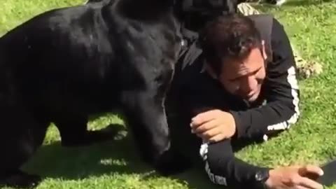 A man captured in love by his Grown pets