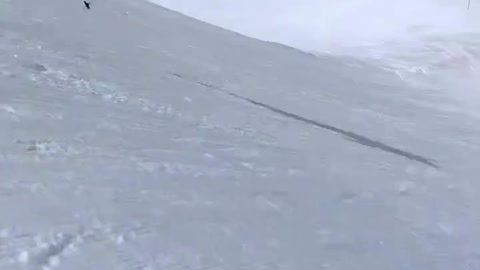 HE LOST AN ENTIRE SKI