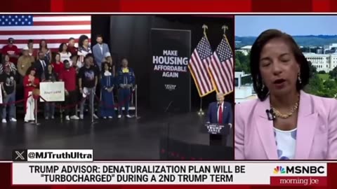 Susan Rice & MSNBC freak out over Trump deporting Millions of people who came to U.S. ILLEGALLY