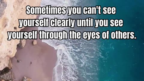 Sometimes you can't see yourself clearly until you see yourself through the eyes of others. quotes