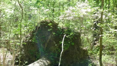 Hike at Oak Mountain State Park, April 2015. Slideshow.