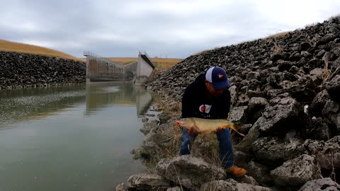 Carp and Smallmouth Buffalo fishing with Hair Rigs