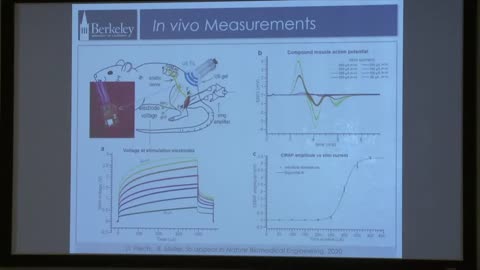 2019 IEEE EMBS Workshop - Rikky Muller on Deep tissue wireless neural interfacing