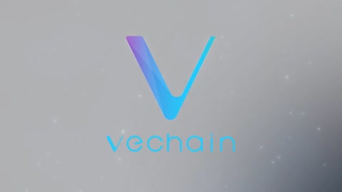 Ve Chain , Block chain and the future