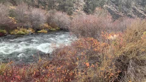 Central Oregon – Steelhead Falls – Wilderness Hiking Down River