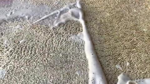 #asmr #carpetcleaning #satisfying