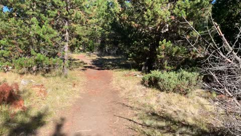 Central Oregon – Paulina Lake “Grand Loop” – Weaving Away From the Lake