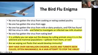 27 Years of Human Bird Flu, Vaccines, and Questions - Meryl Nass