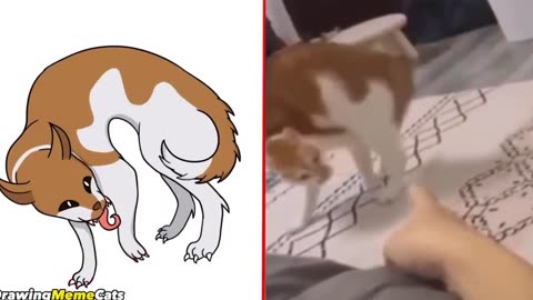 Hilarious Cat Memes, Side-Splitting Funny Cats! 🐱🐶🤣 Trending Funny Animal Moments 😹🐾#7