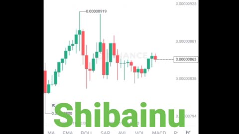 BTC coin Shibainu coin Etherum coin Cryptocurrency Crypto loan cryptoupdates song trading insurance Rubbani bnb coin short video reel #shibainu