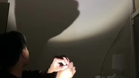 Hand shadow show