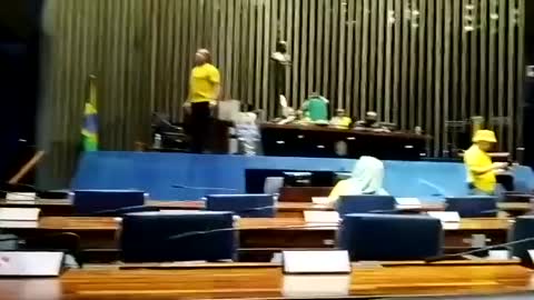 Protesters in the Federal Senate inside the Congress building