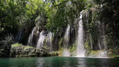 The beauty of the waterfalls in the green forest