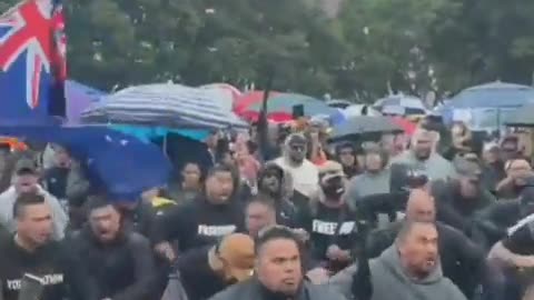 The Haka outside New Zealand's parliament