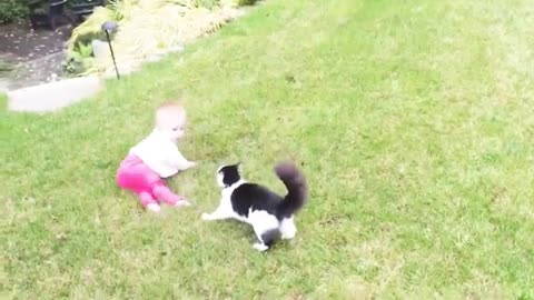 Funny babies play with cats