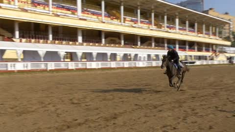 running Horses Slow Motion, central Moscow hippodrome