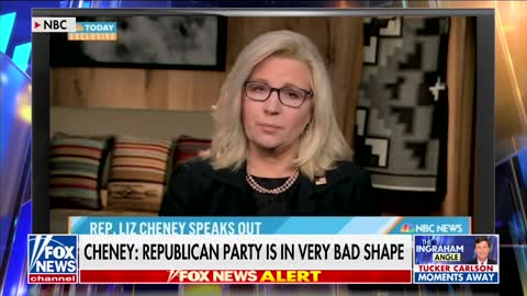 Gingrich: Liz Cheney had 29% of Vote, Compared Herself to Abraham Lincoln Who Had 53%