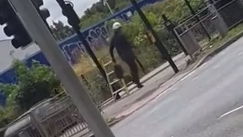 Footage of a man calmly dismantling the 5G ULEZ cameras that the government put up