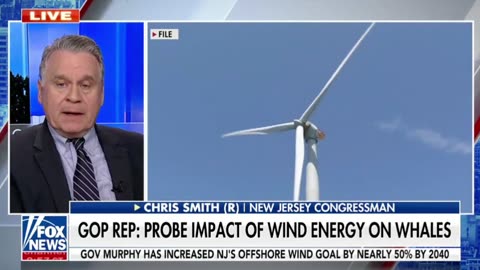 Rep. Chris Smith says whales dying off the east coast are a wake-up call