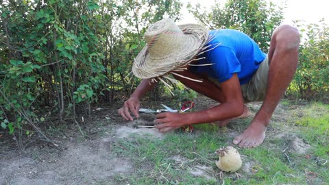 Easy Snake Trap Creative Method DIY Snake Trap Using Cutter That Work