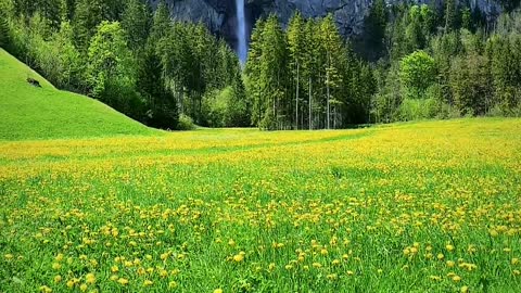 Beautiful Nature.. 📍Kandersteg🇨🇭