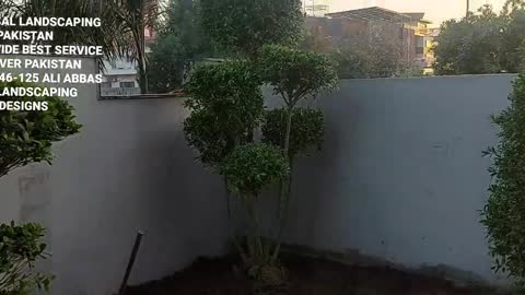 backyard Landscaping part 2 plantation ULP LANDSCAPING 0300-42-46-125 Ali Abbas