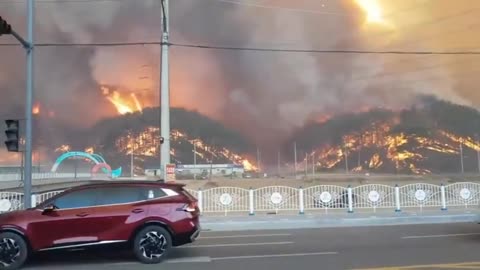 Wild Fires Threaten Nuclear Power Plant in South Korea