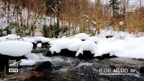 🔴Nature Euphoria | Winter Watch | Video 001