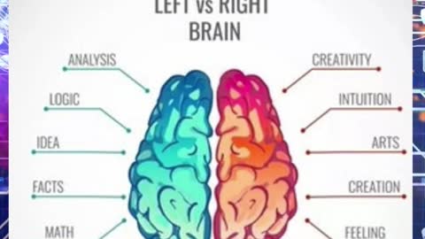 The Left vs Right Brain | Did you know? #healthfacts #bodyfacts #medicalfacts #didyouknow