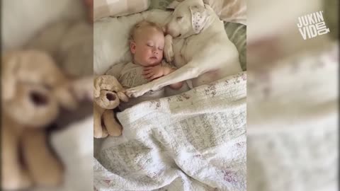 Cute Baby Playing With Dogs - Baby spielt mit Hund