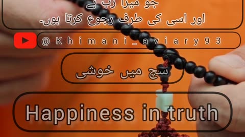 أسْتَغْفِرُ اللهَ رَبي مِنْ كُلِ ذَنبٍ وَأتُوبُ إلَيهِ