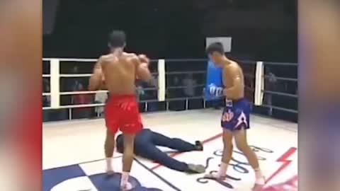 Funny MMA Boxing Ring Moments to Make You Laugh